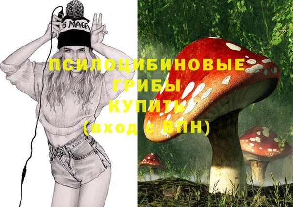 спиды Нефтегорск