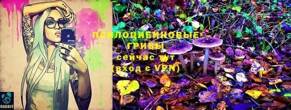 дмт Нефтекумск
