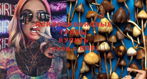 дживик Бежецк