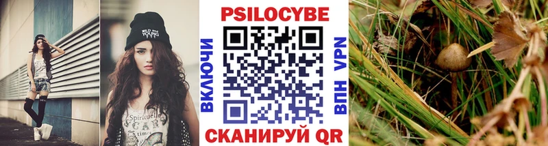 что такое   Заполярный  Псилоцибиновые грибы Cubensis 